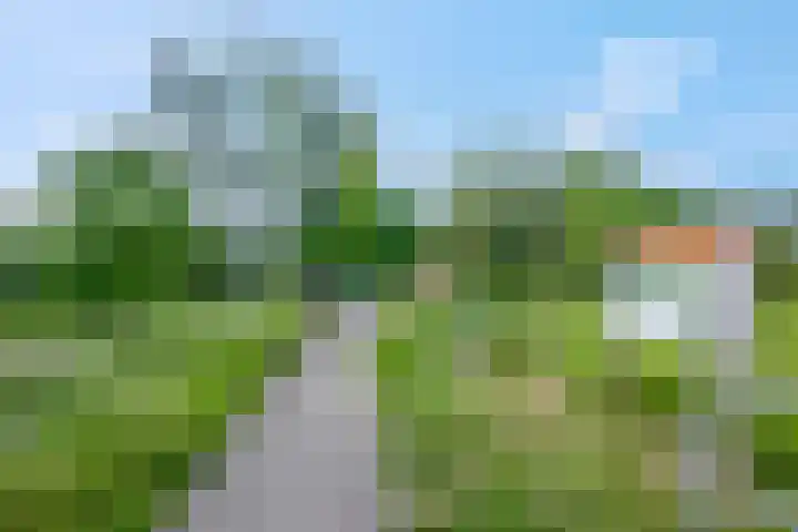Steenakker 24 Gendt thumbnail 49