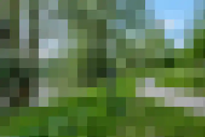 Steenakker 24 Gendt thumbnail 50