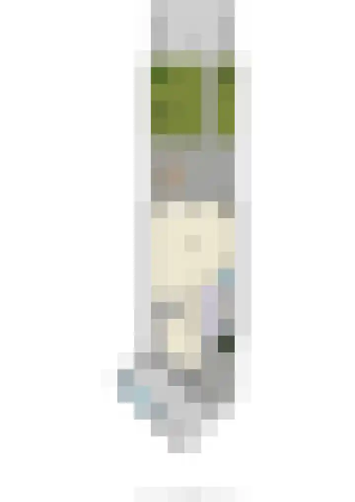 Steenakker 24 Gendt thumbnail 55