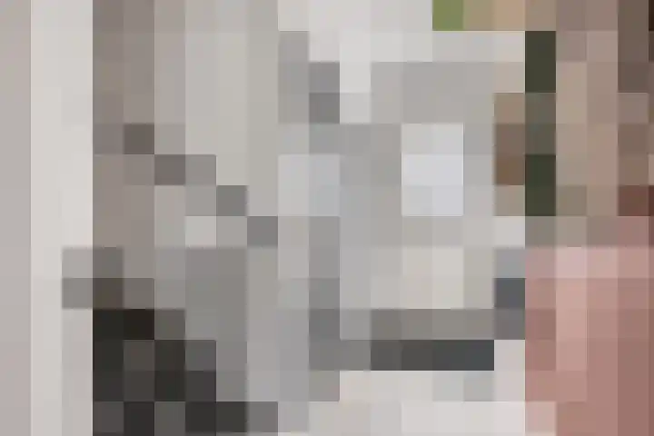 Steenakker 24 Gendt thumbnail 6