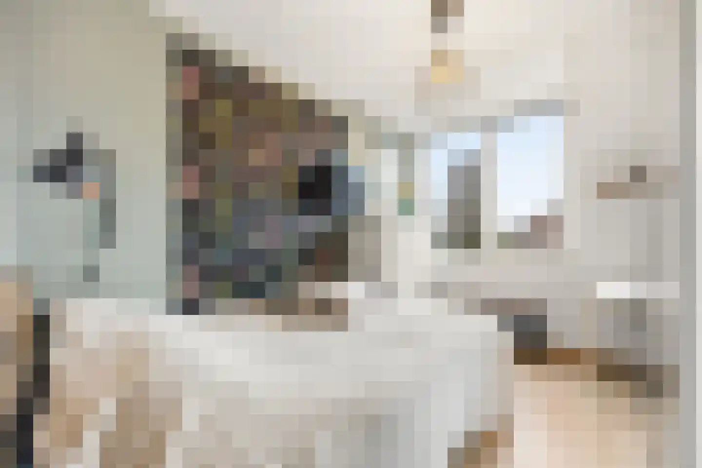 Steenakker 35 Druten thumbnail 24