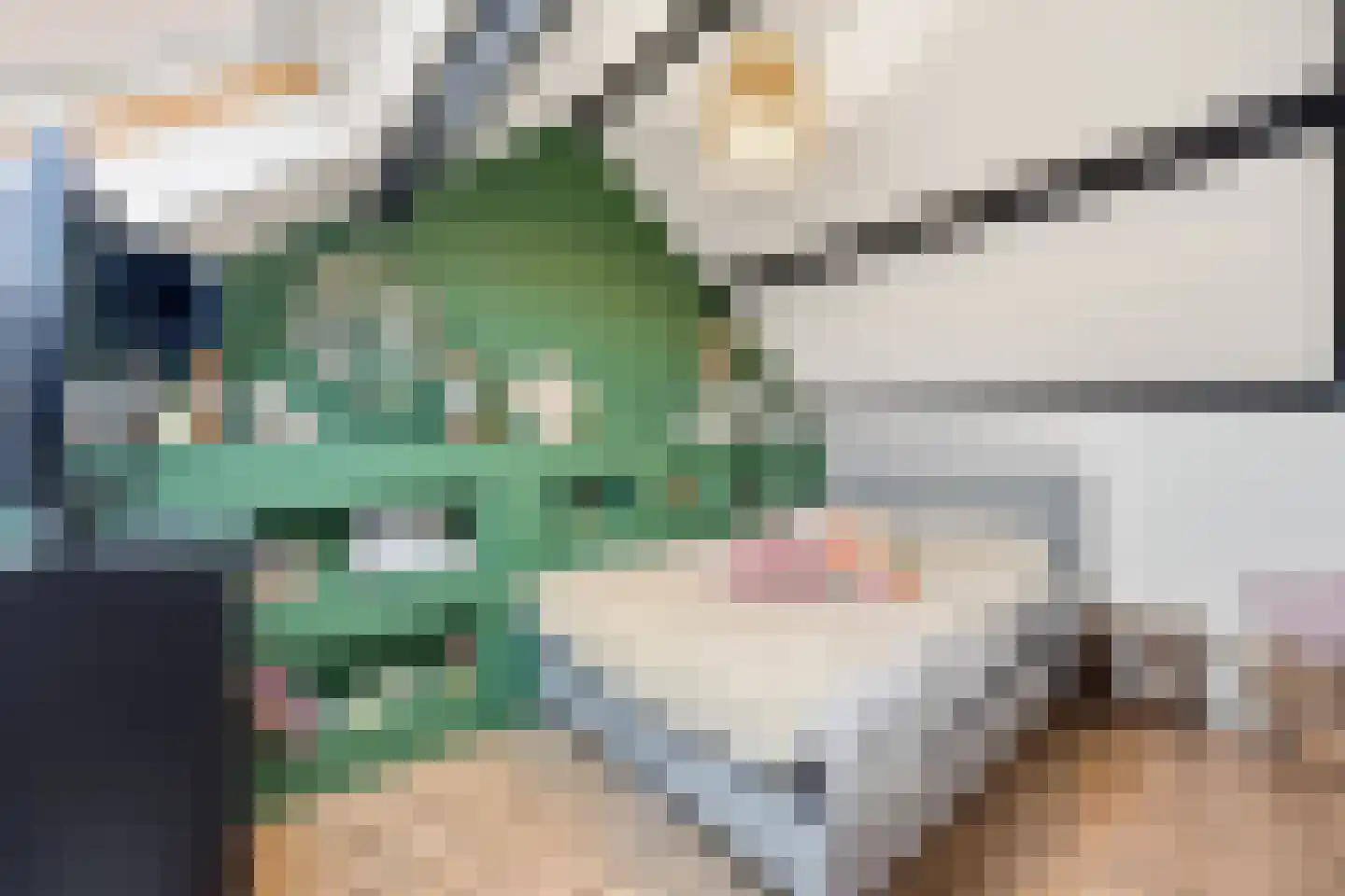 Steenakker 35 Druten thumbnail 29