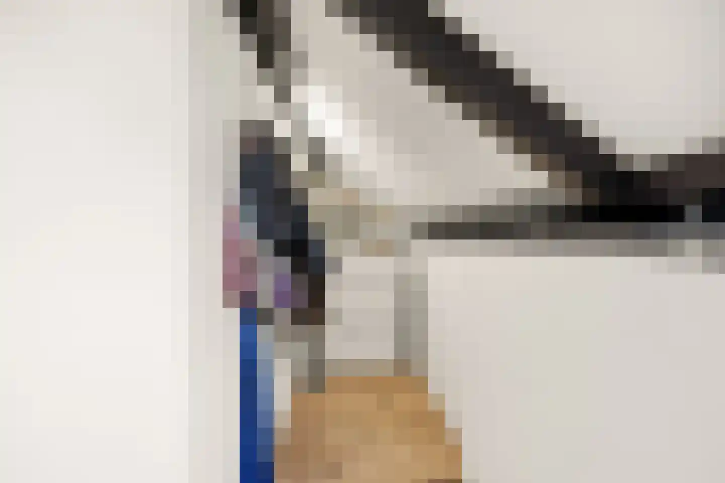 Steenakker 35 Druten thumbnail 31