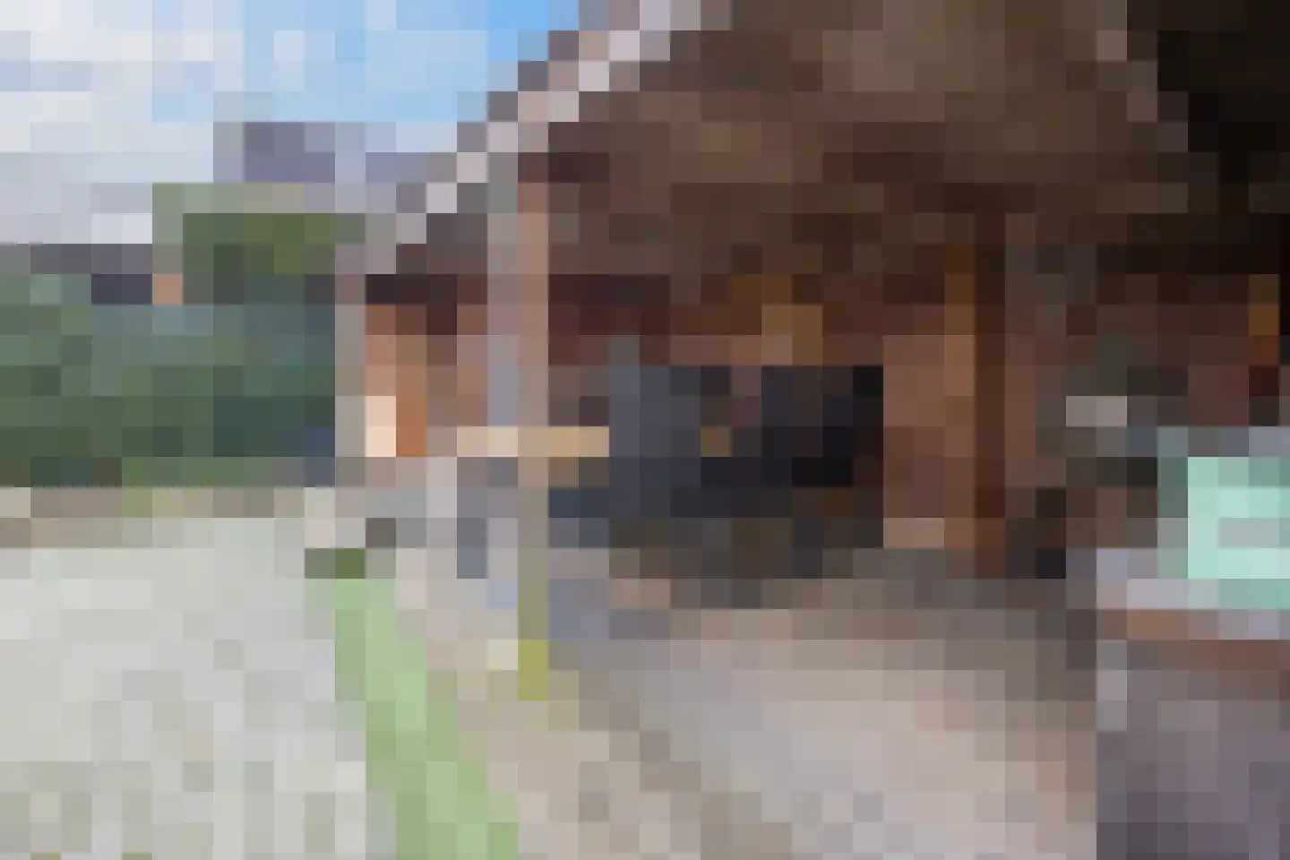 Steenakker 35 Druten thumbnail 38