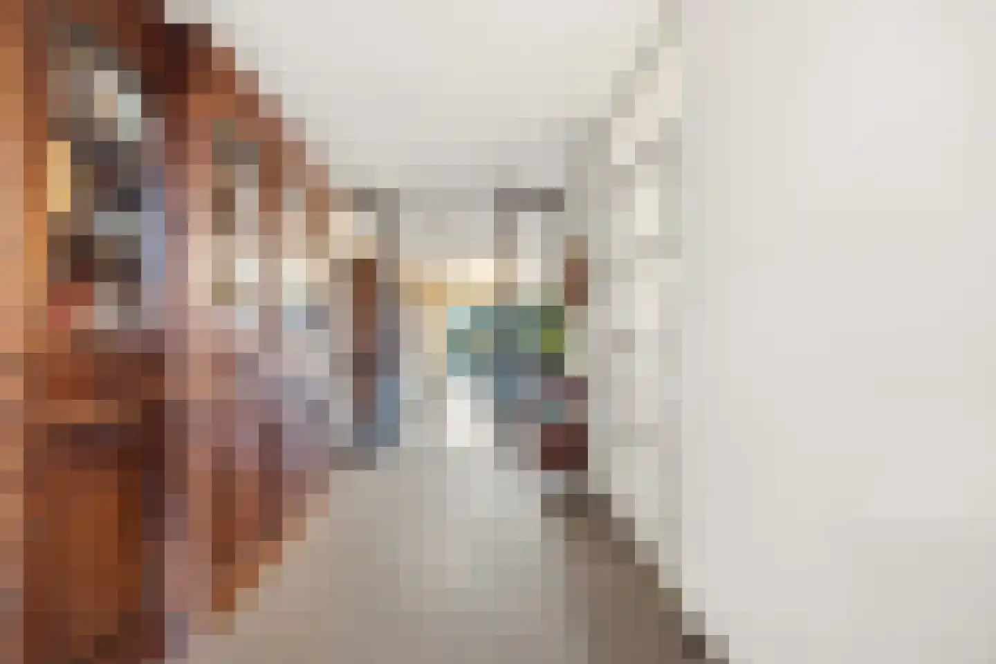 Steenakker 35 Druten thumbnail 9