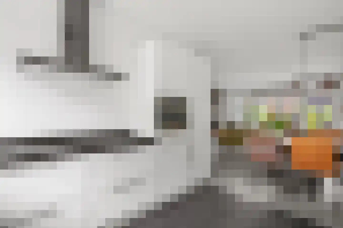 Steenakker 4 Odijk thumbnail 12
