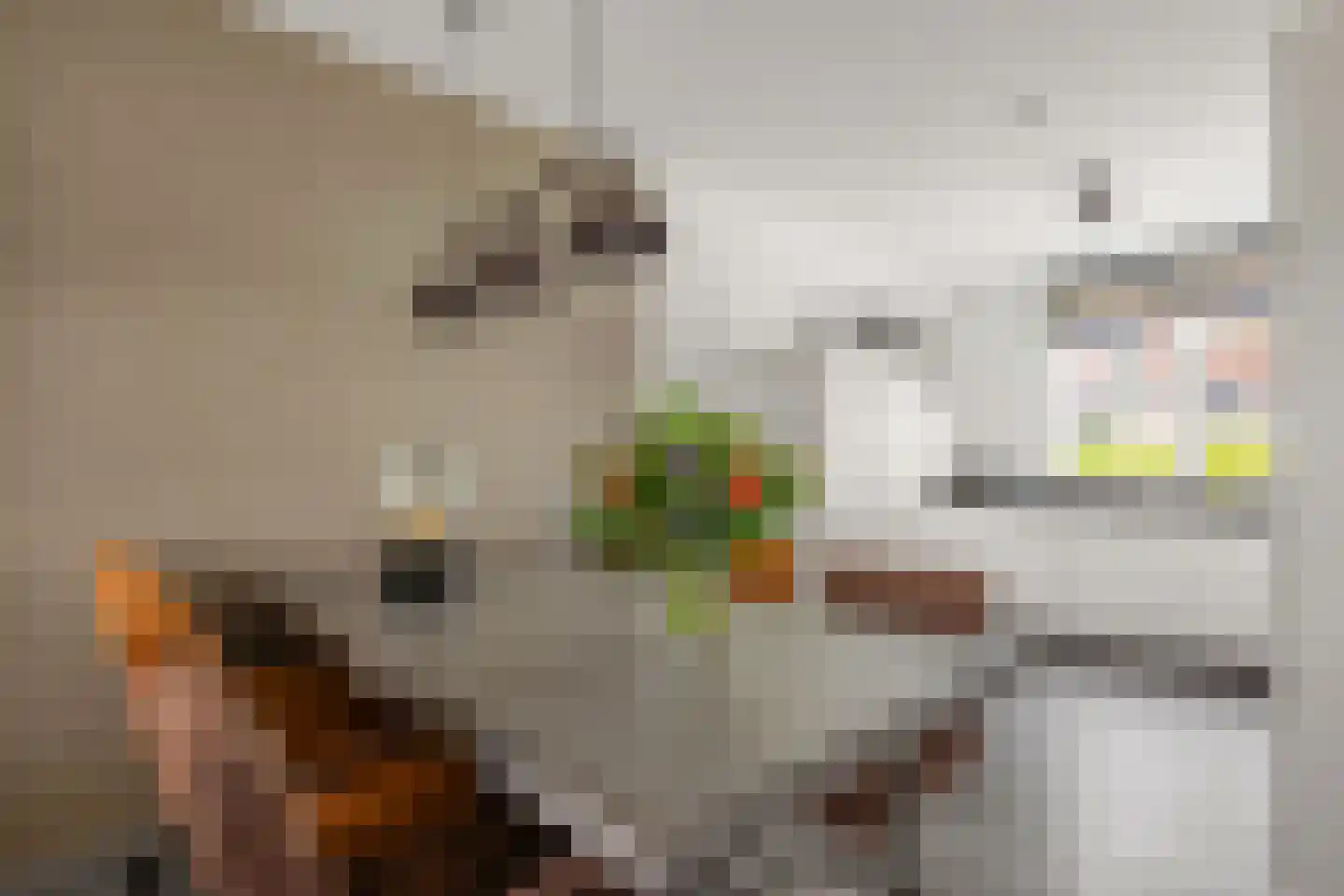 Steenakker 4 Odijk thumbnail 13