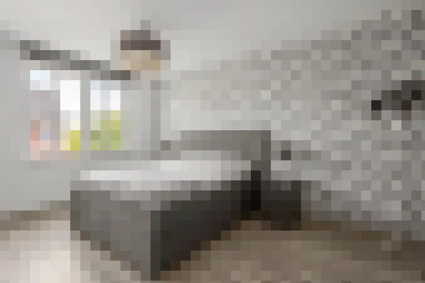 Steenakker 4 Odijk thumbnail 17
