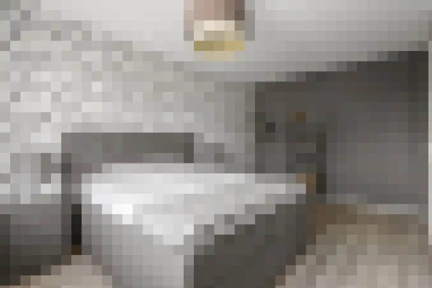 Steenakker 4 Odijk thumbnail 18