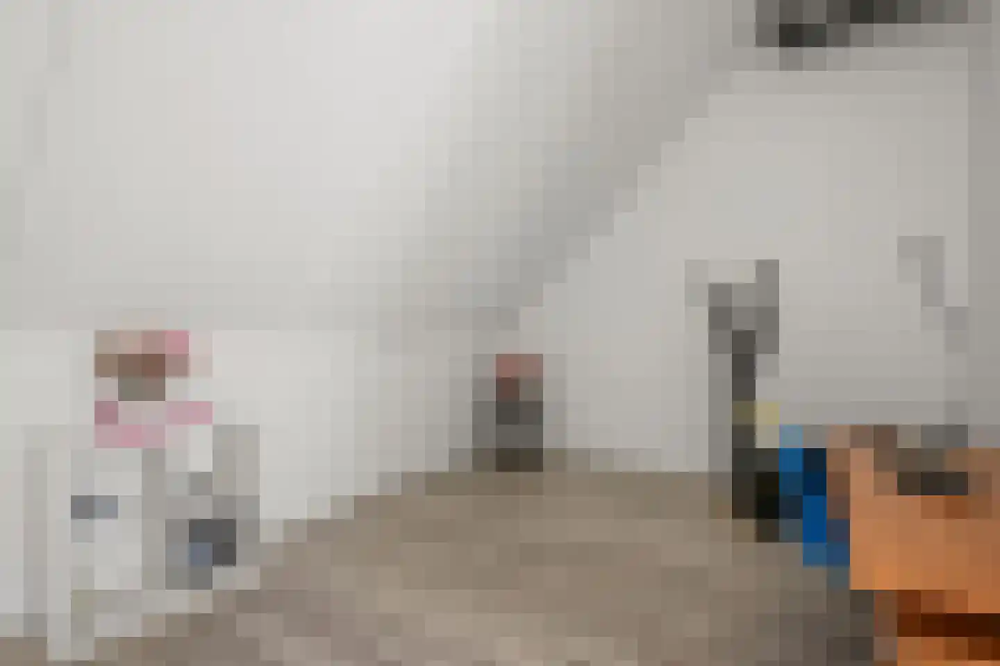 Steenakker 4 Odijk thumbnail 28