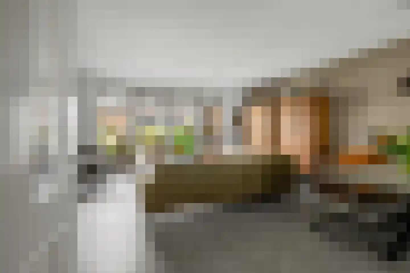 Steenakker 4 Odijk thumbnail 4