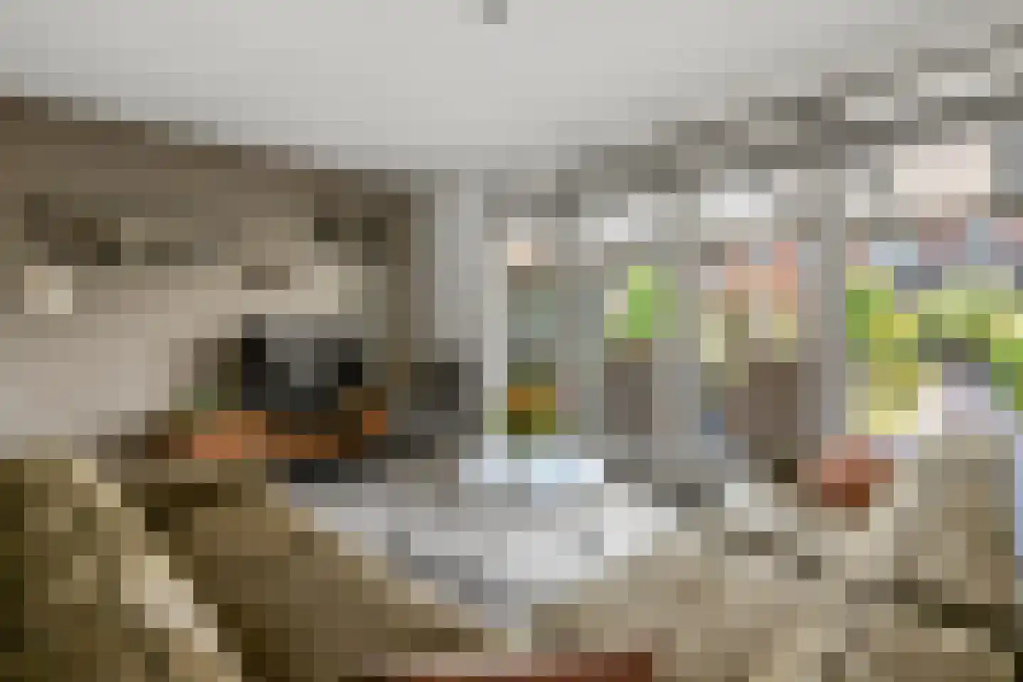 Steenakker 4 Odijk thumbnail 5