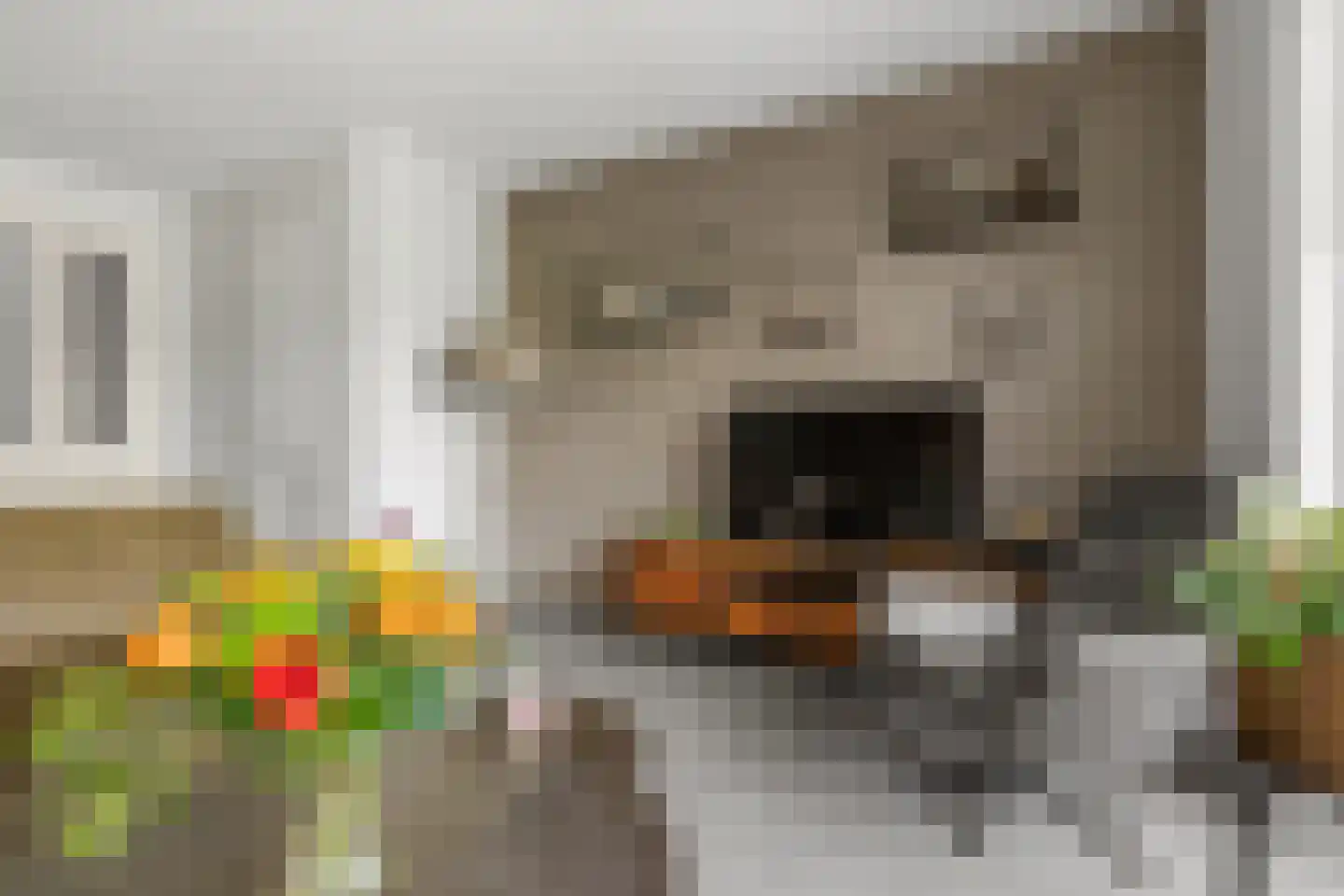 Steenakker 4 Odijk thumbnail 6