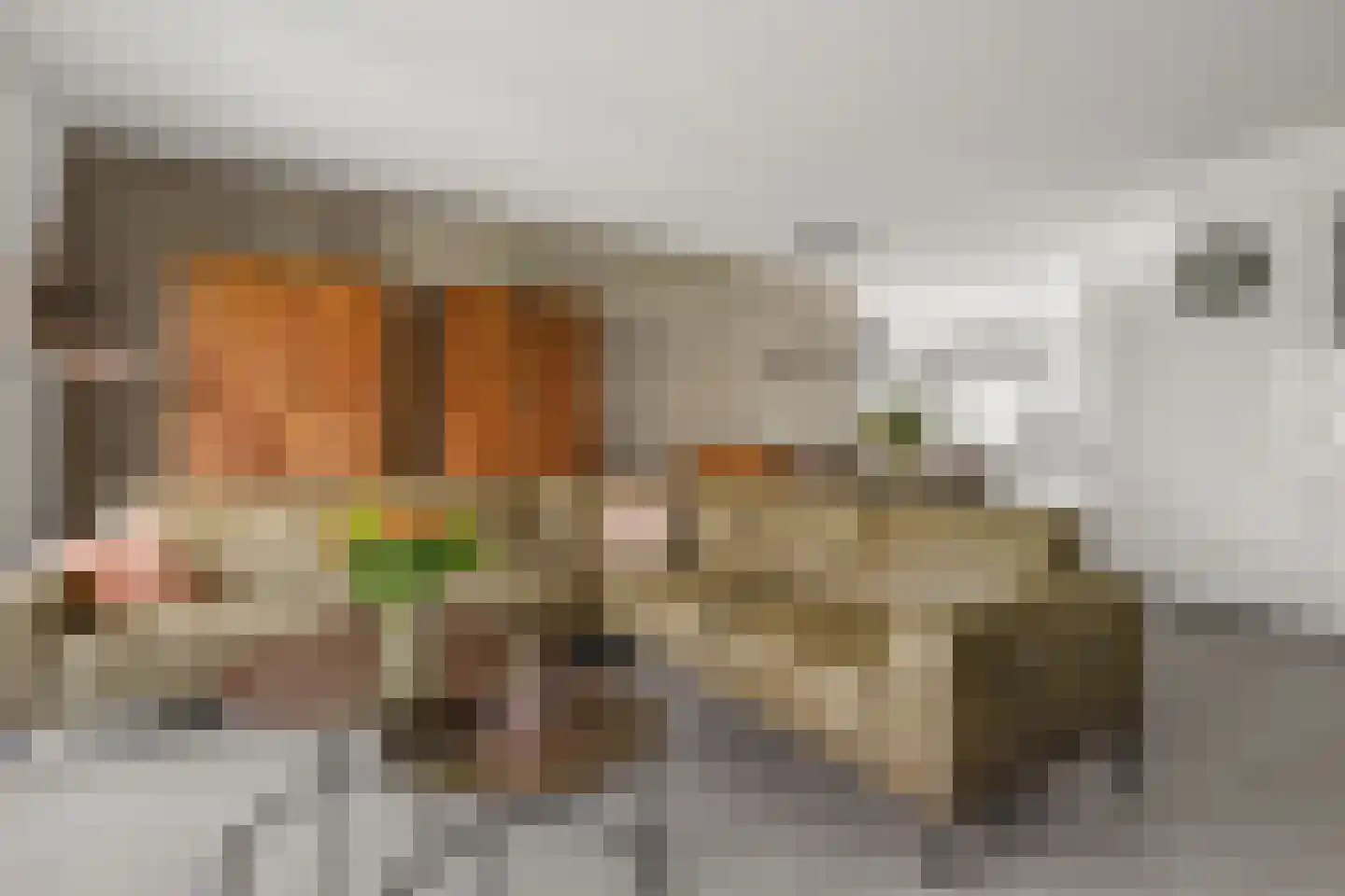 Steenakker 4 Odijk thumbnail 7