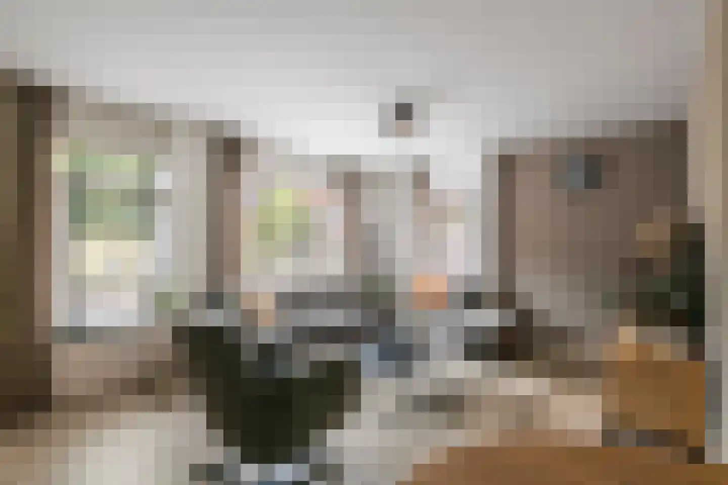 Steenakker 41 Druten thumbnail 10