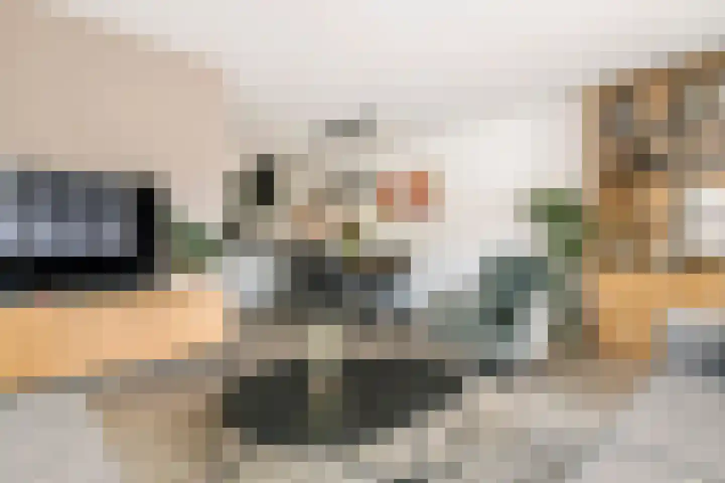 Steenakker 41 Druten thumbnail 11