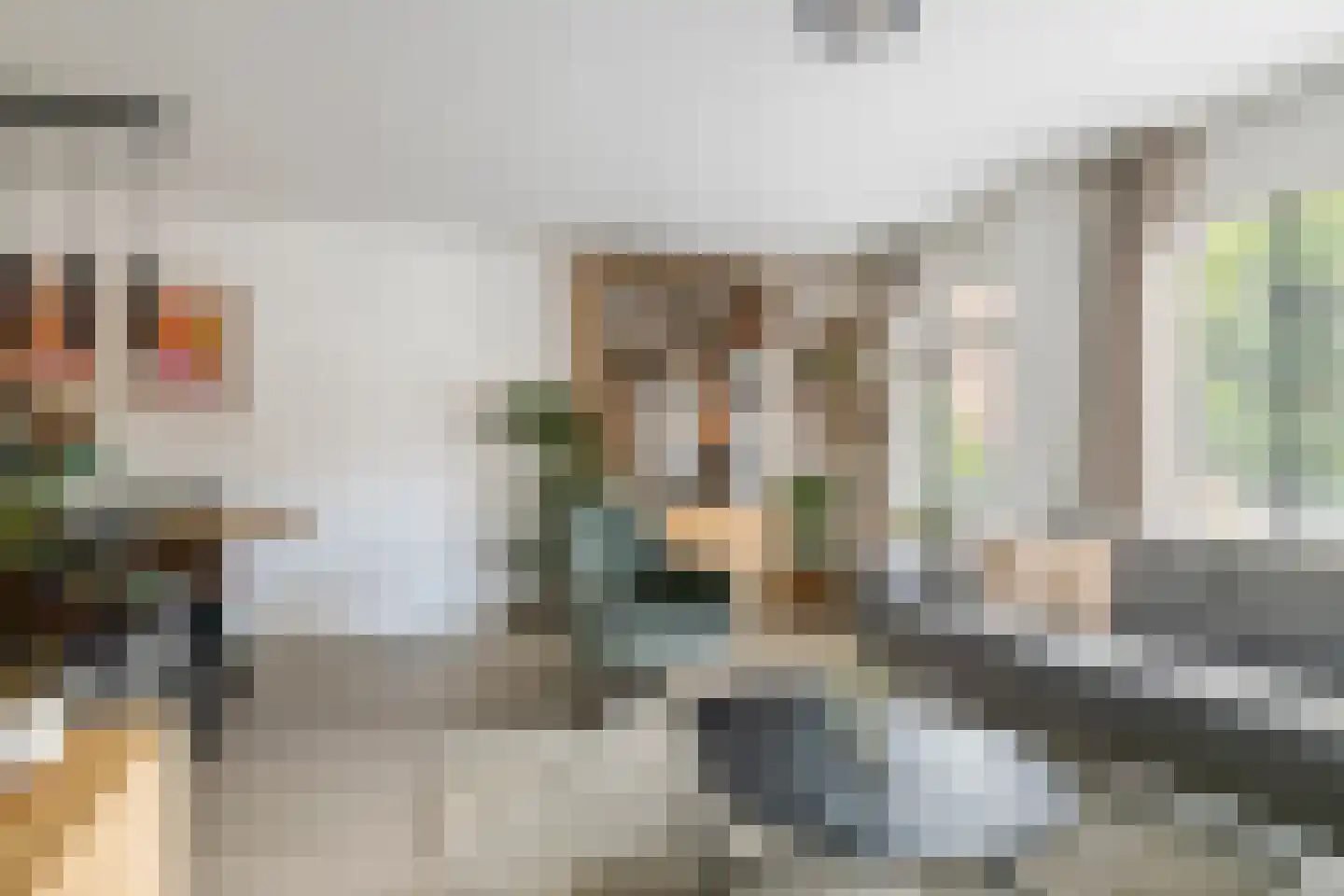 Steenakker 41 Druten thumbnail 12