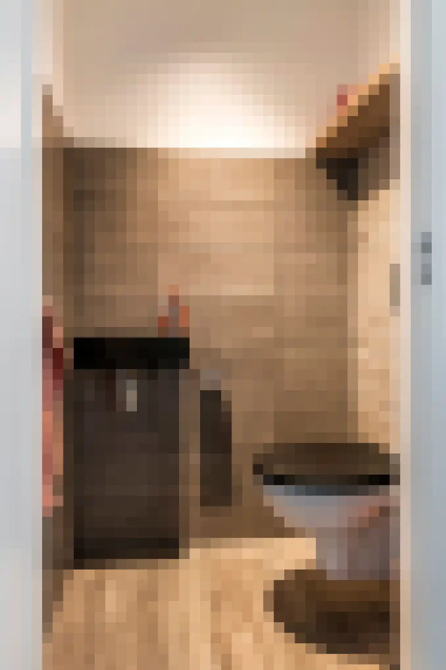 Steenakker 41 Druten thumbnail 16