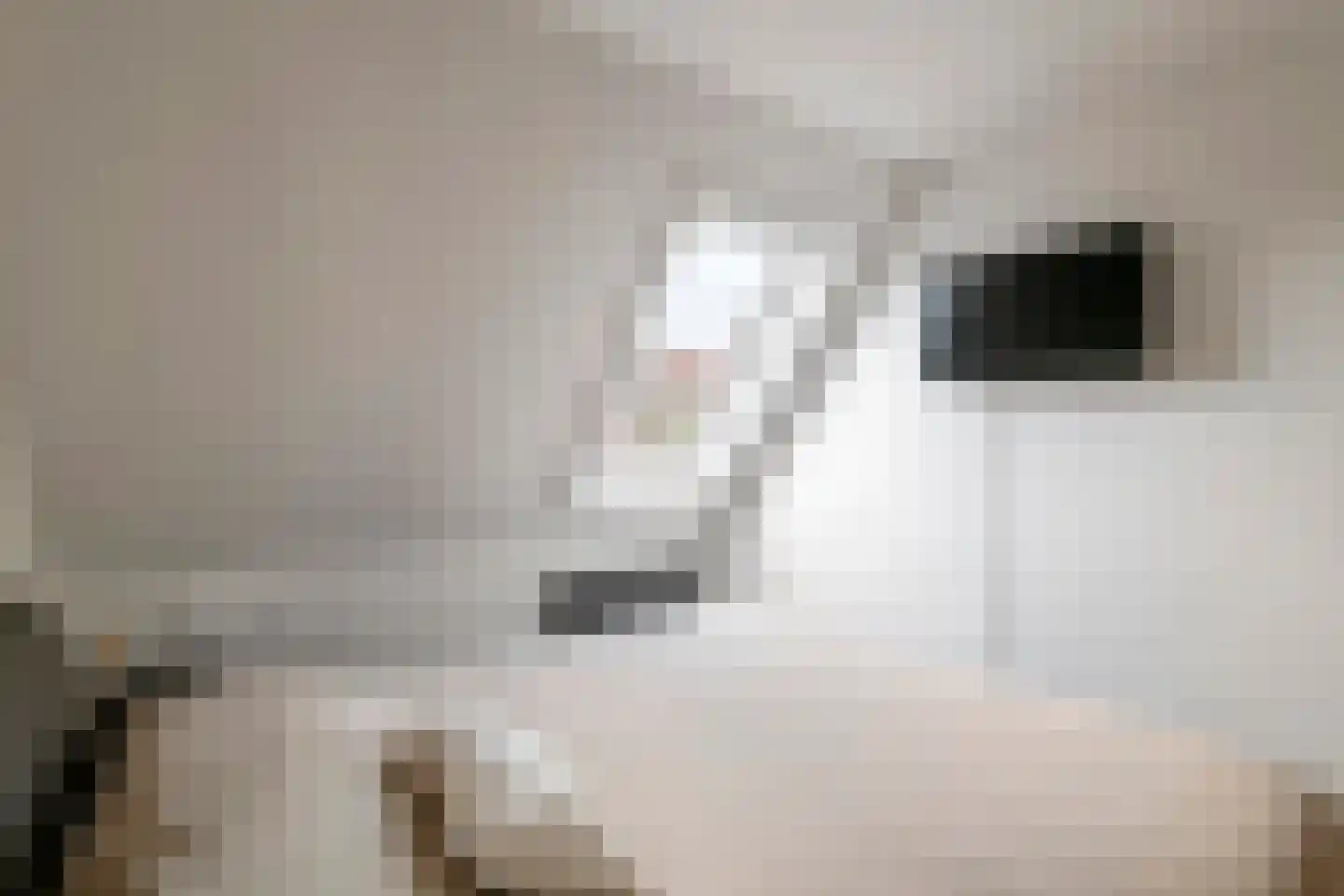 Steenakker 41 Druten thumbnail 20