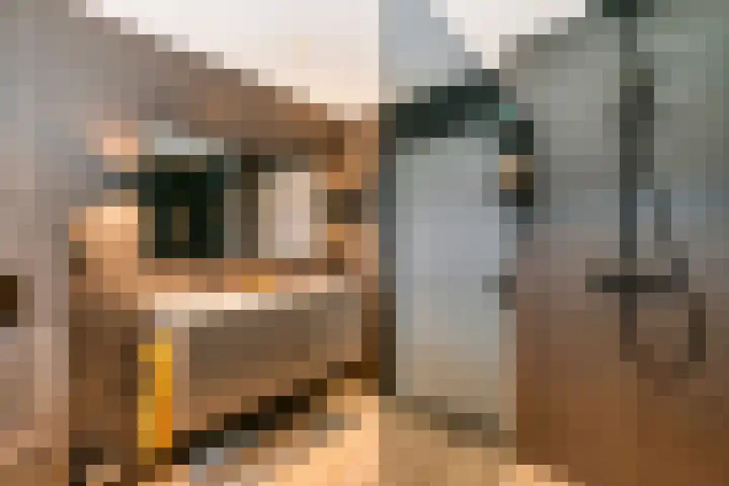 Steenakker 41 Druten thumbnail 22
