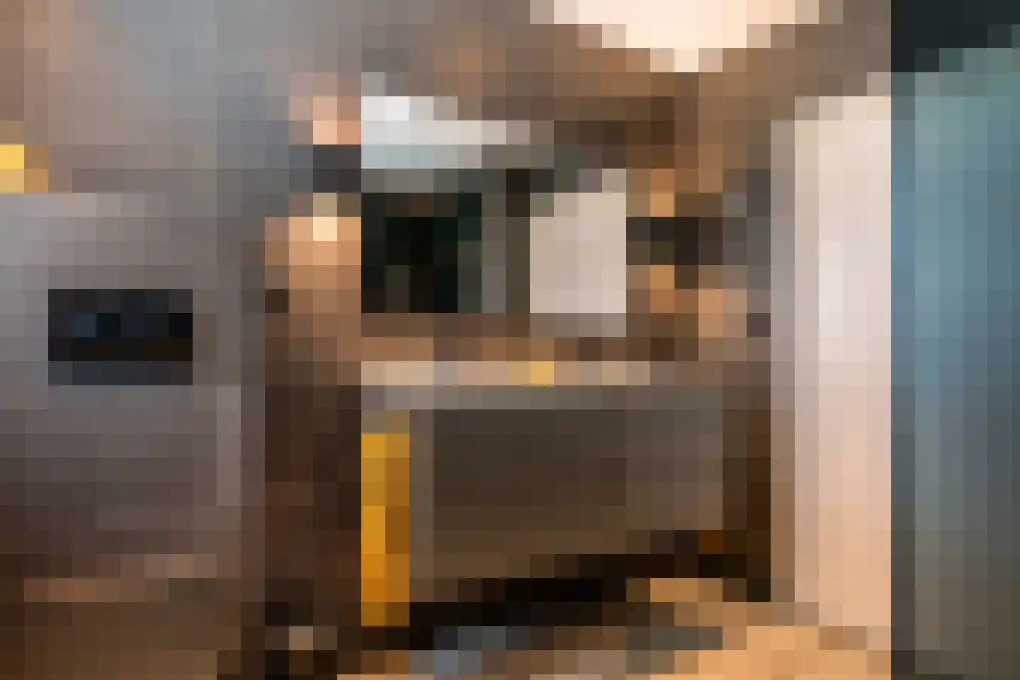 Steenakker 41 Druten thumbnail 23