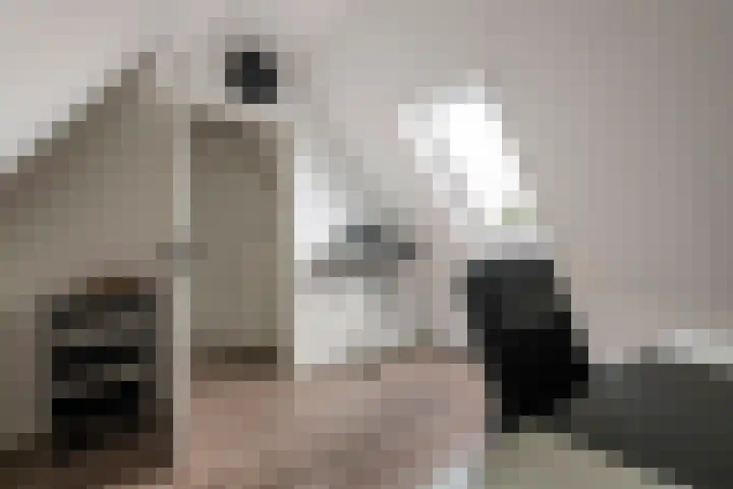 Steenakker 41 Druten thumbnail 30