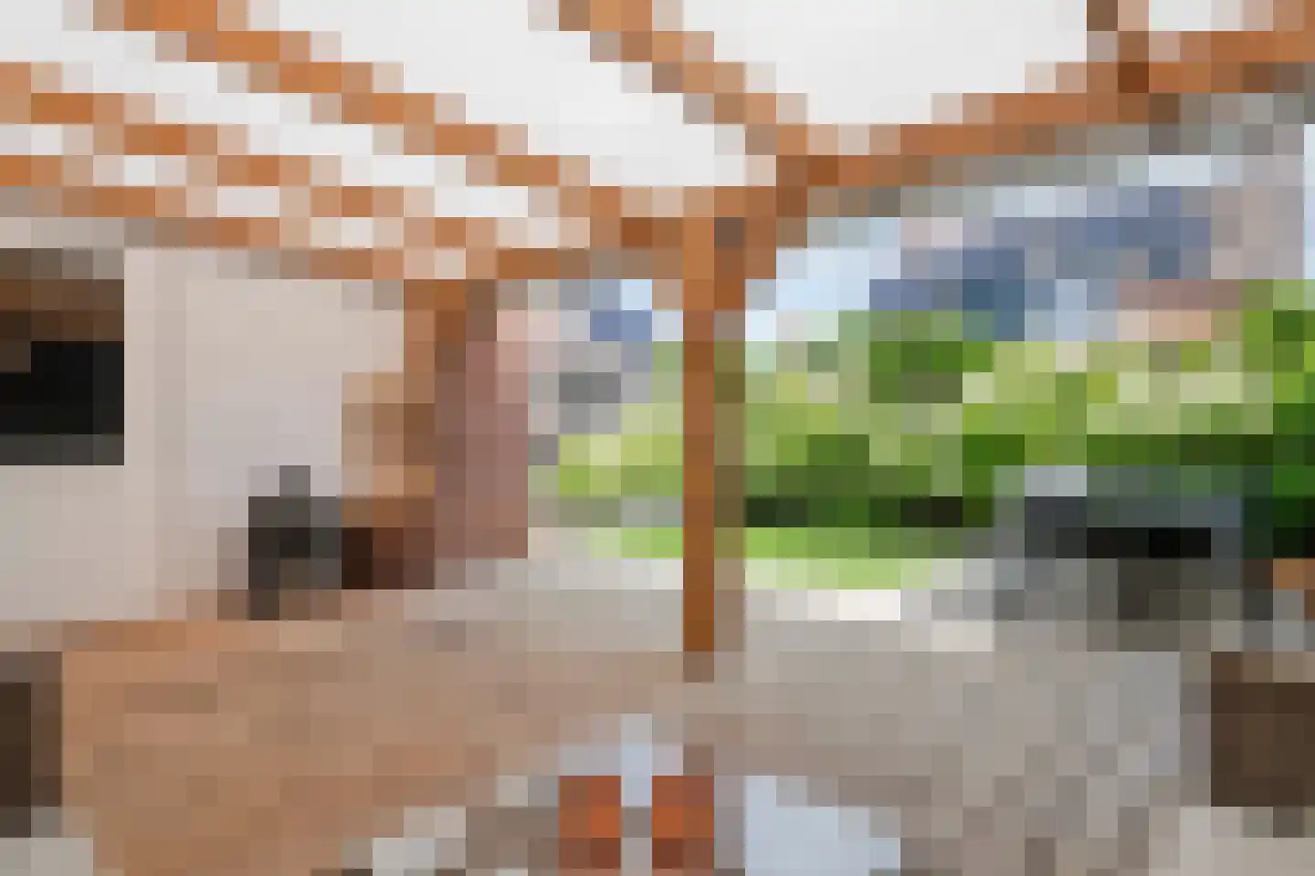 Steenakker 41 Druten thumbnail 37