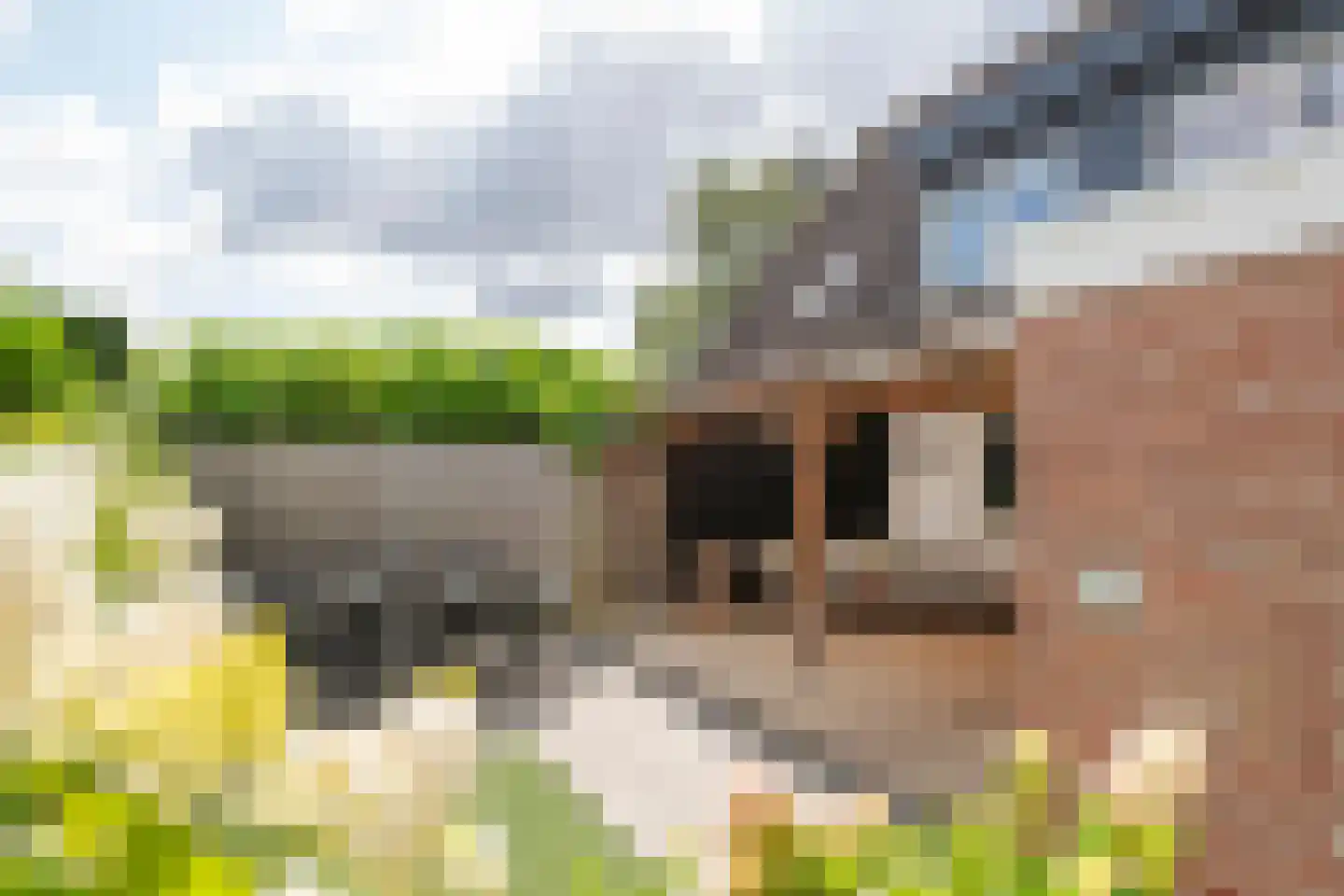 Steenakker 41 Druten thumbnail 39