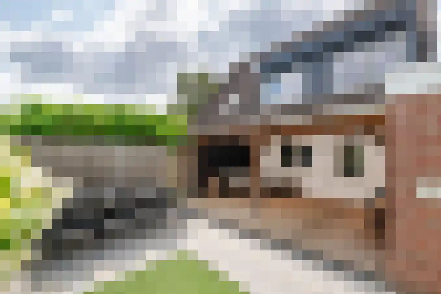 Steenakker 41 Druten thumbnail 40