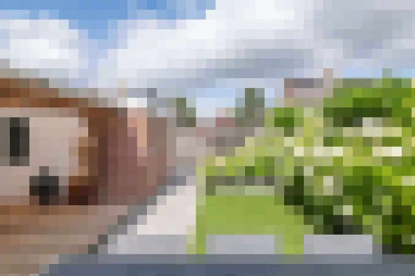 Steenakker 41 Druten thumbnail 41