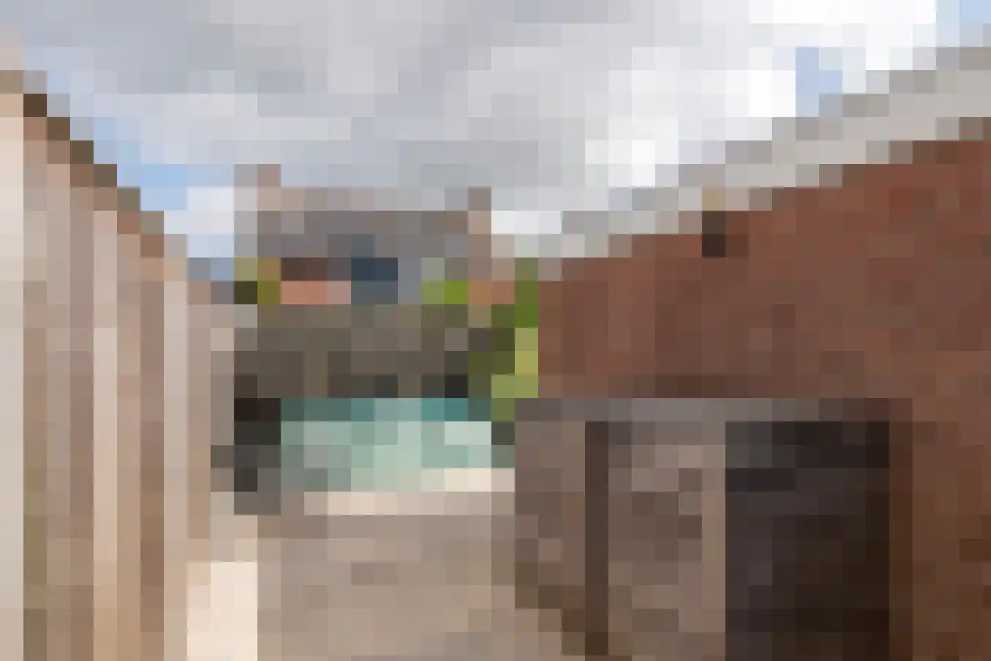 Steenakker 41 Druten thumbnail 43