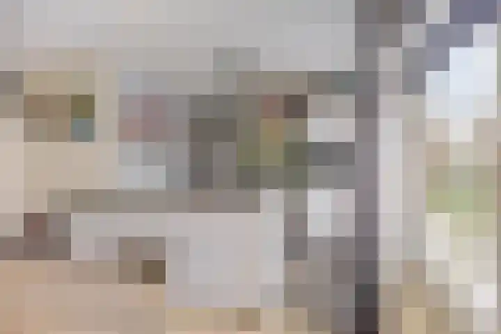 Steenakker 44 Druten thumbnail 10