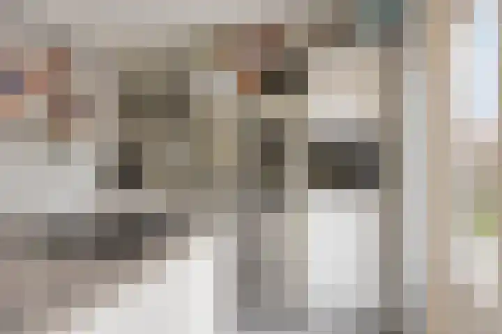 Steenakker 44 Druten thumbnail 11