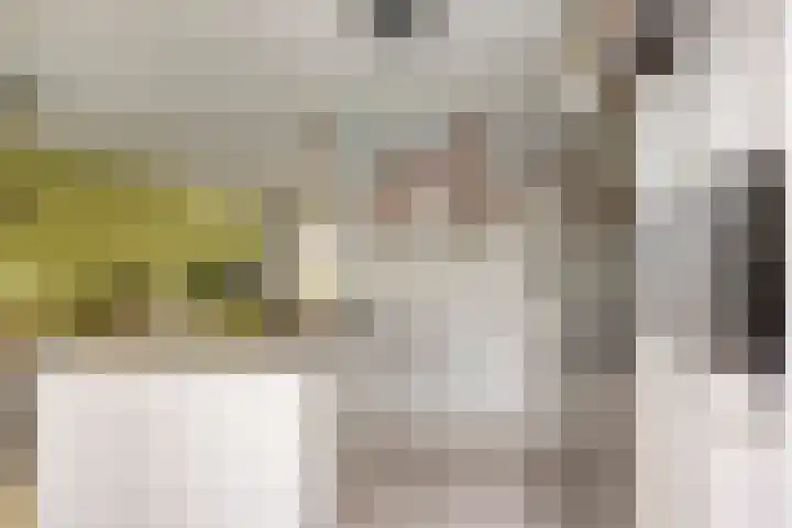 Steenakker 44 Druten thumbnail 12