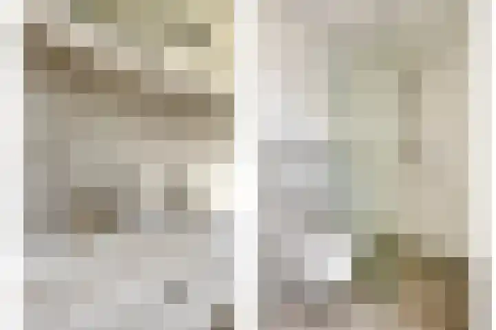 Steenakker 44 Druten thumbnail 19