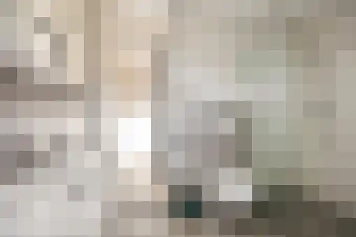 Steenakker 44 Druten thumbnail 20