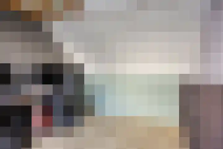 Steenakker 44 Druten thumbnail 21