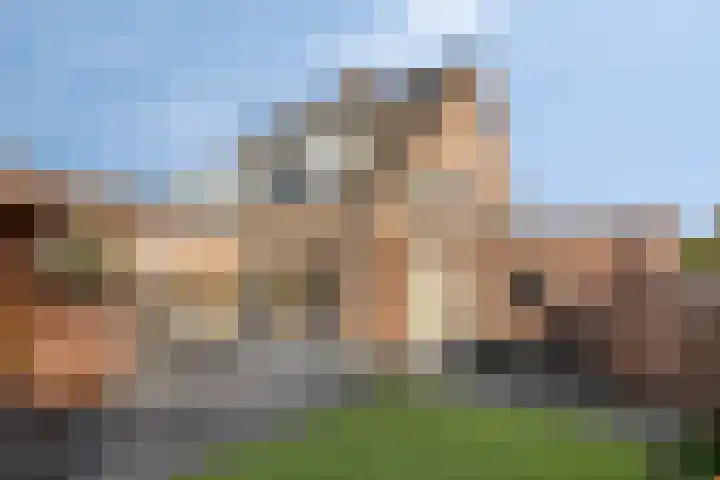 Steenakker 44 Druten thumbnail 22