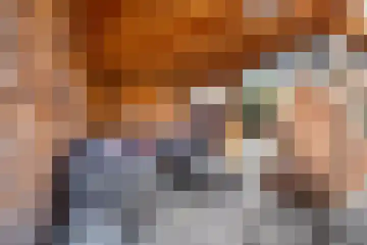 Steenakker 44 Druten thumbnail 26