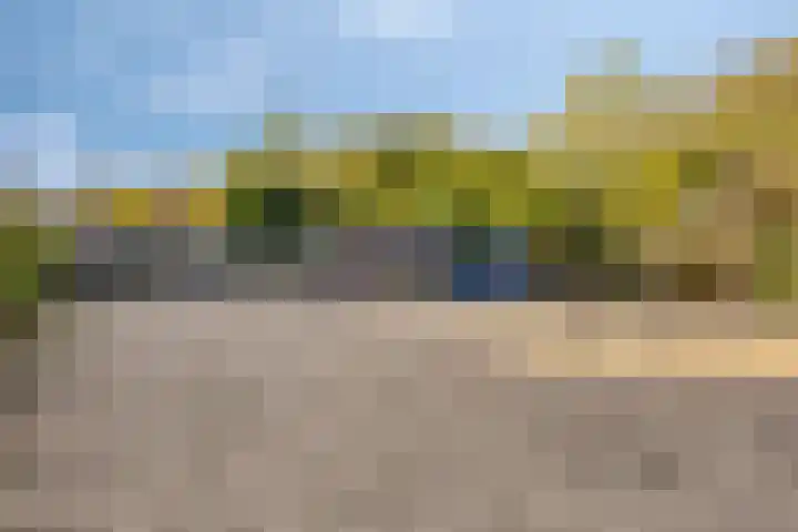 Steenakker 44 Druten thumbnail 29
