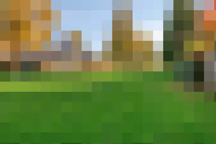 Steenakker 44 Druten thumbnail 30