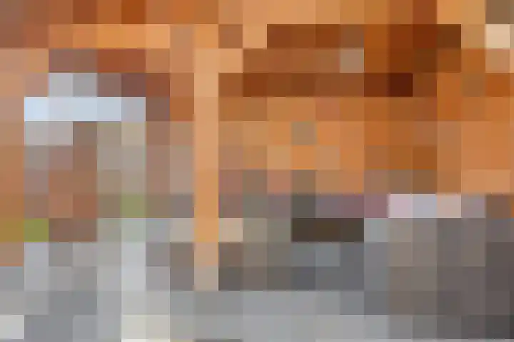 Steenakker 44 Druten thumbnail 4