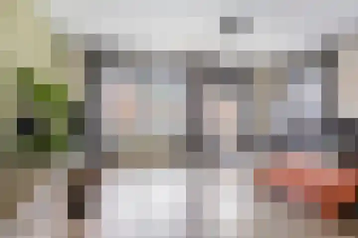 Steenakker 44 Druten thumbnail 7