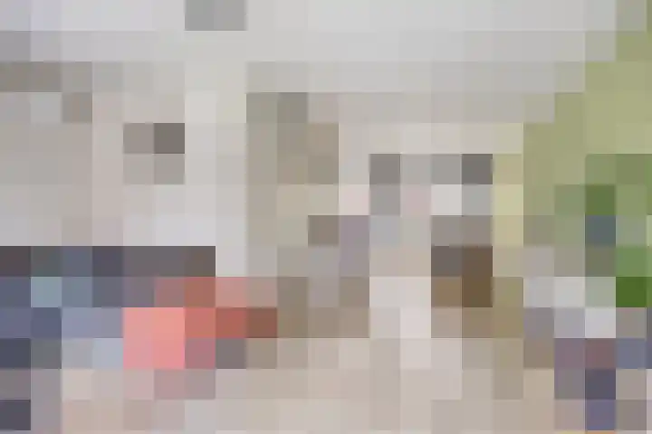 Steenakker 44 Druten thumbnail 8