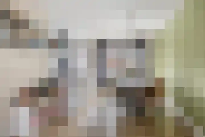 Steenakker 44 Druten thumbnail 9