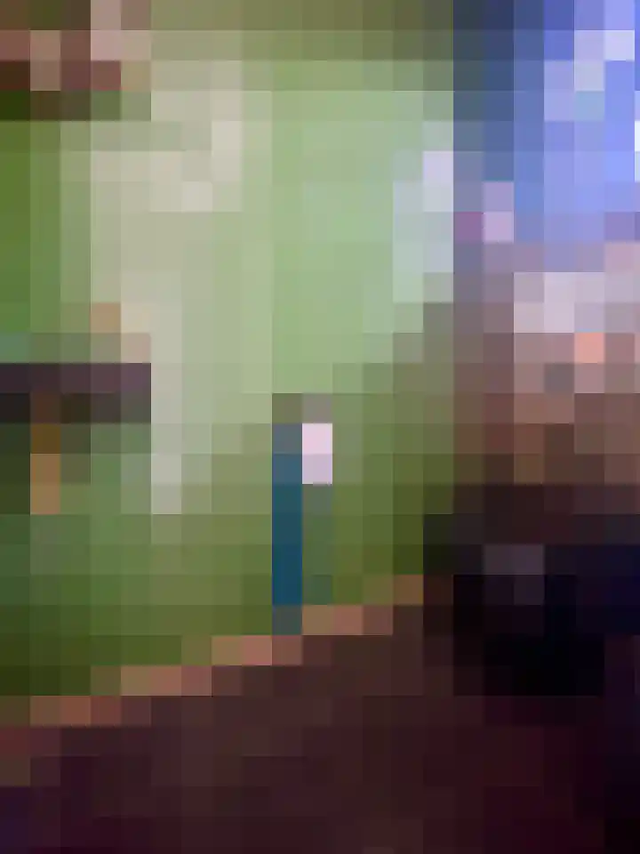 Steenakker 48 Roosteren thumbnail 13