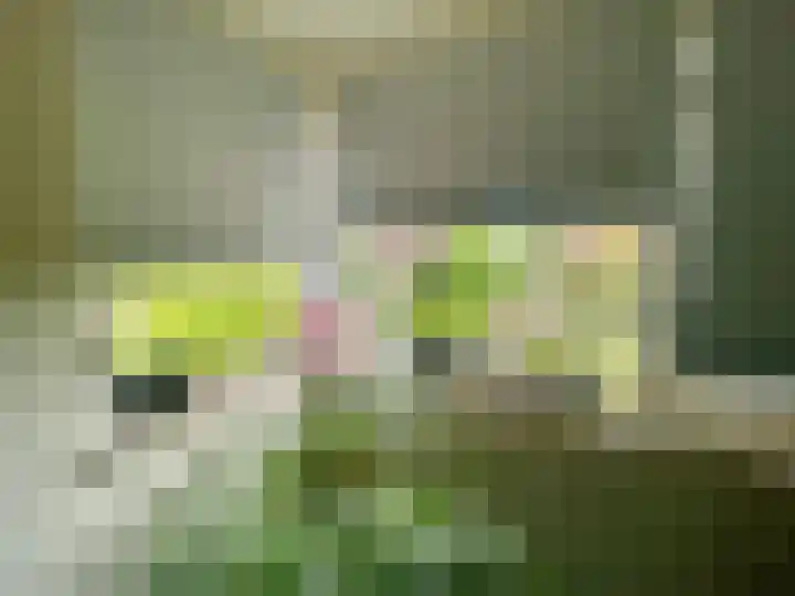 Steenakker 48 Roosteren thumbnail 21
