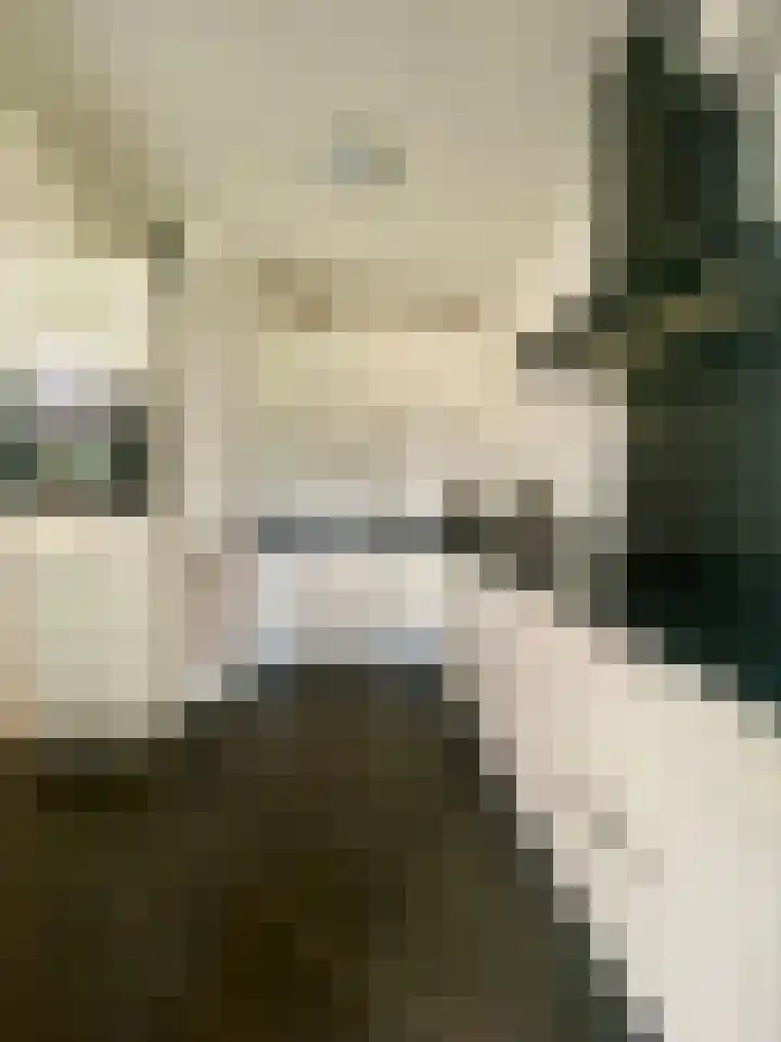 Steenakker 48 Roosteren thumbnail 9