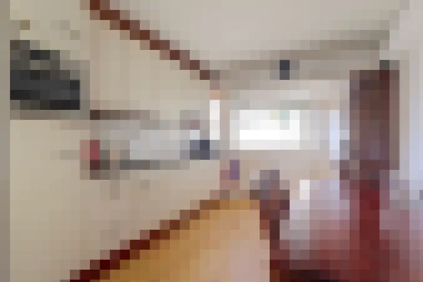 Steenakker 6 Gendt thumbnail 11