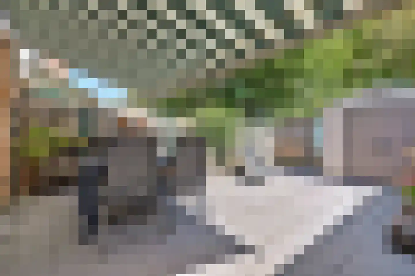 Steenakker 6 Gendt thumbnail 17